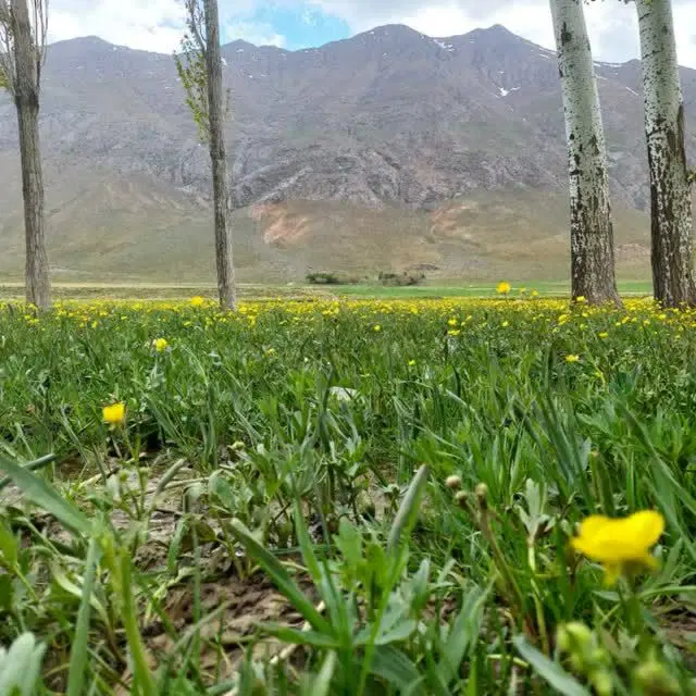 زمین فروشی