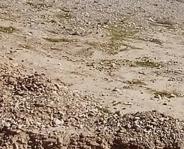 فروش زمین 270متری با کاربری مسکونی وسند تک برگ