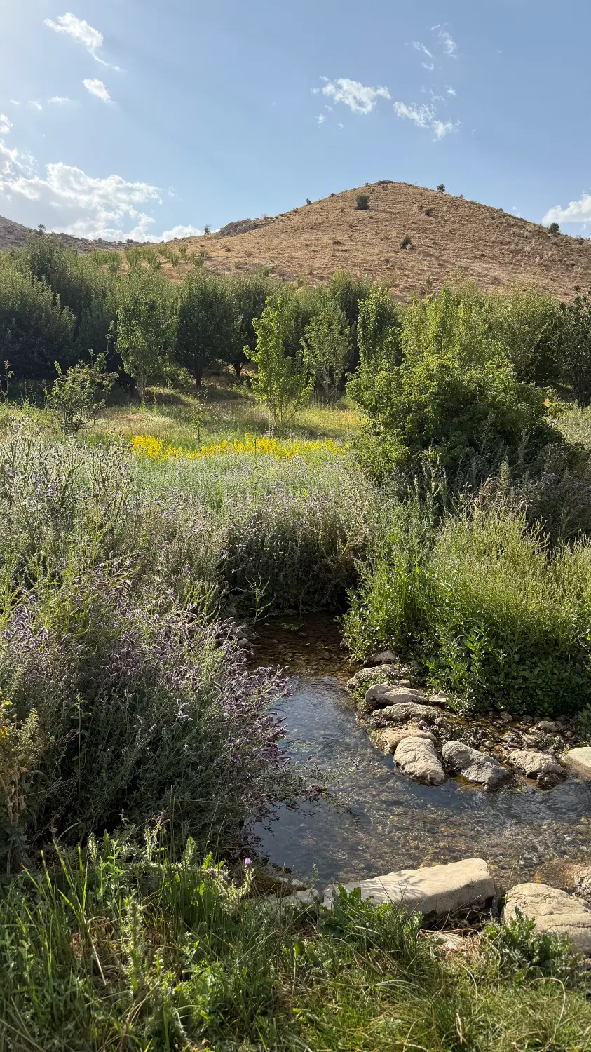 زمین کشاورزی