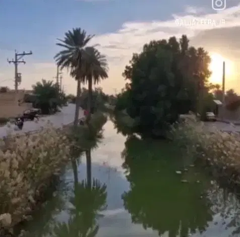 زمین در مینو شهر جزیره