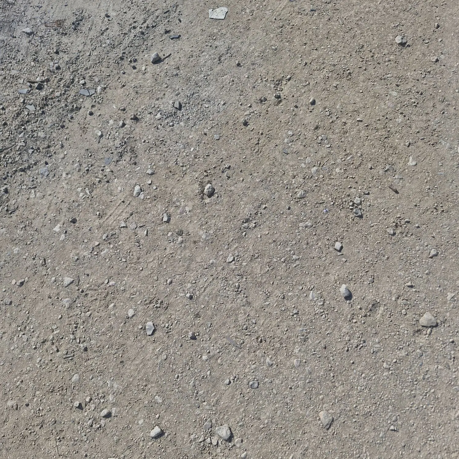 زمین جایدشت