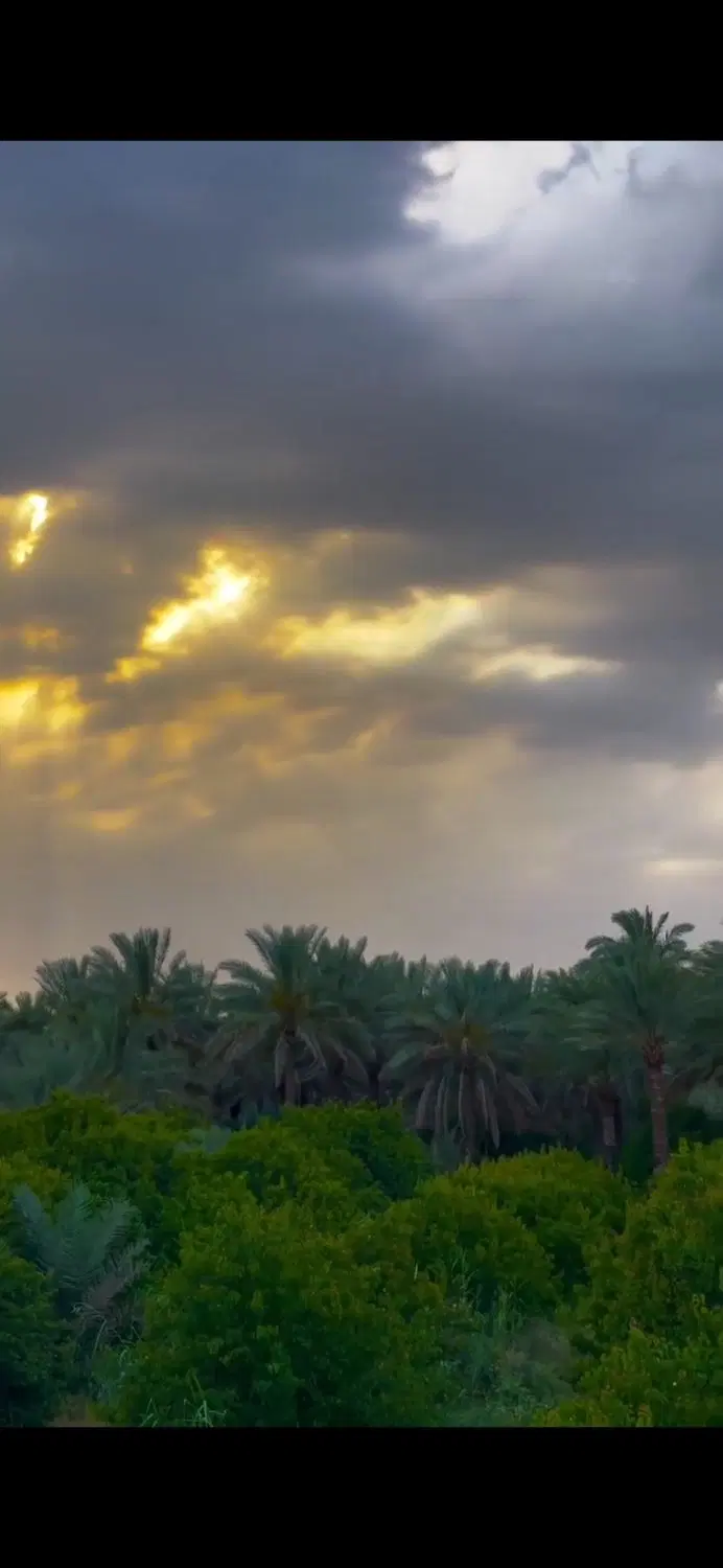 فروس باغ