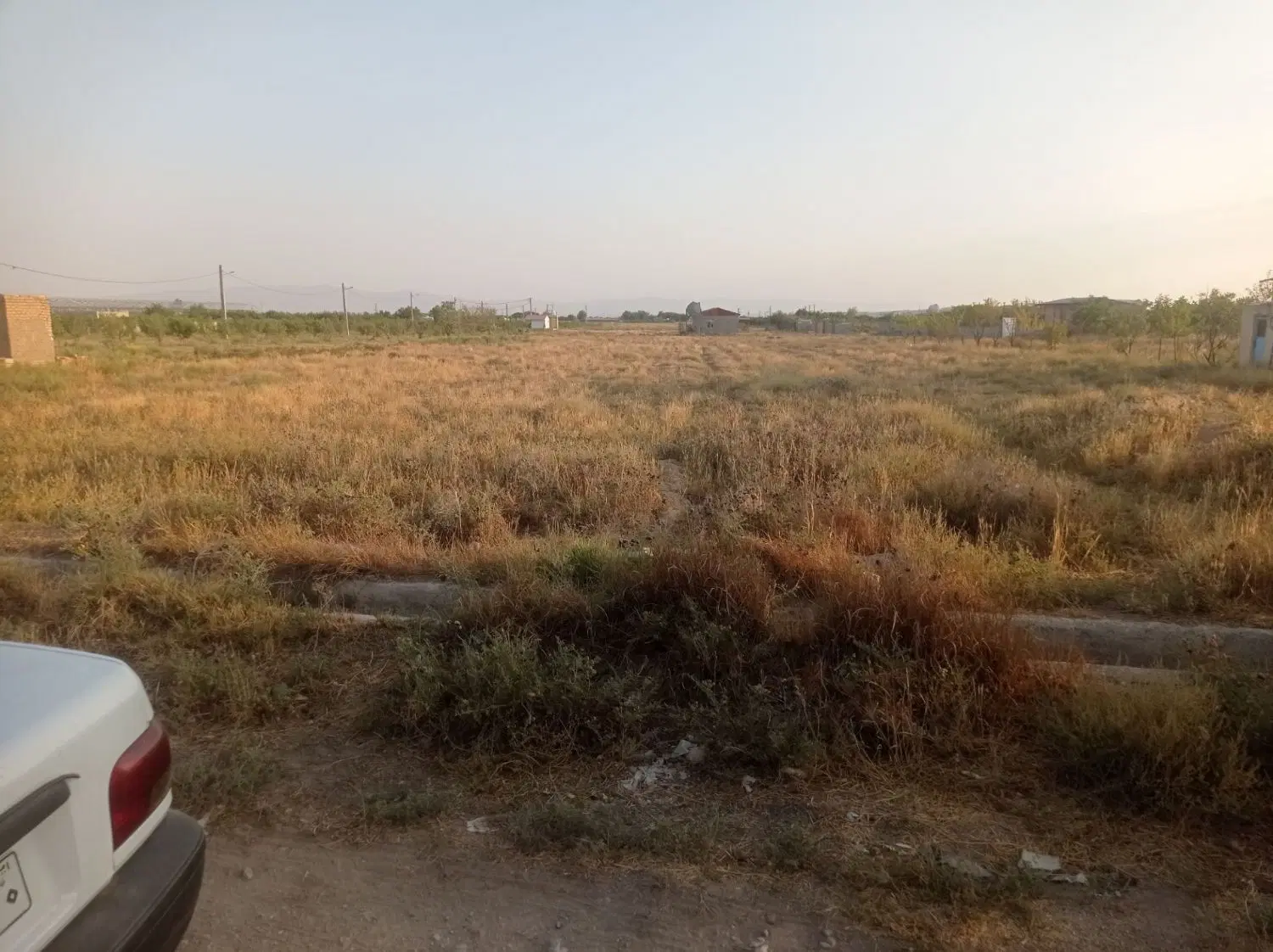 زمین کشاورزی