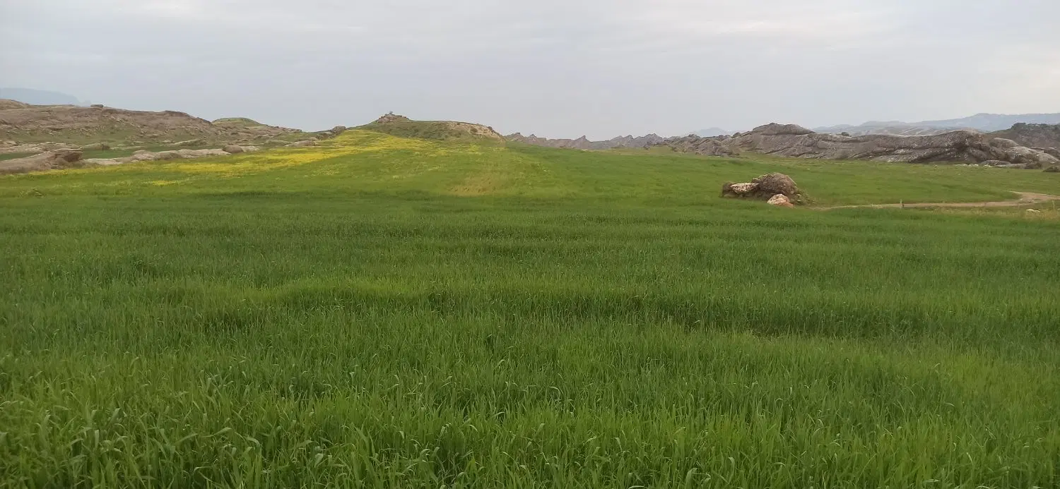 فروش زمین
