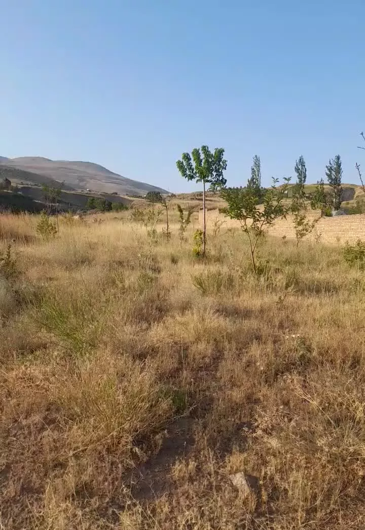 یک قطعه زمین باغ ویلا روستای زرشک