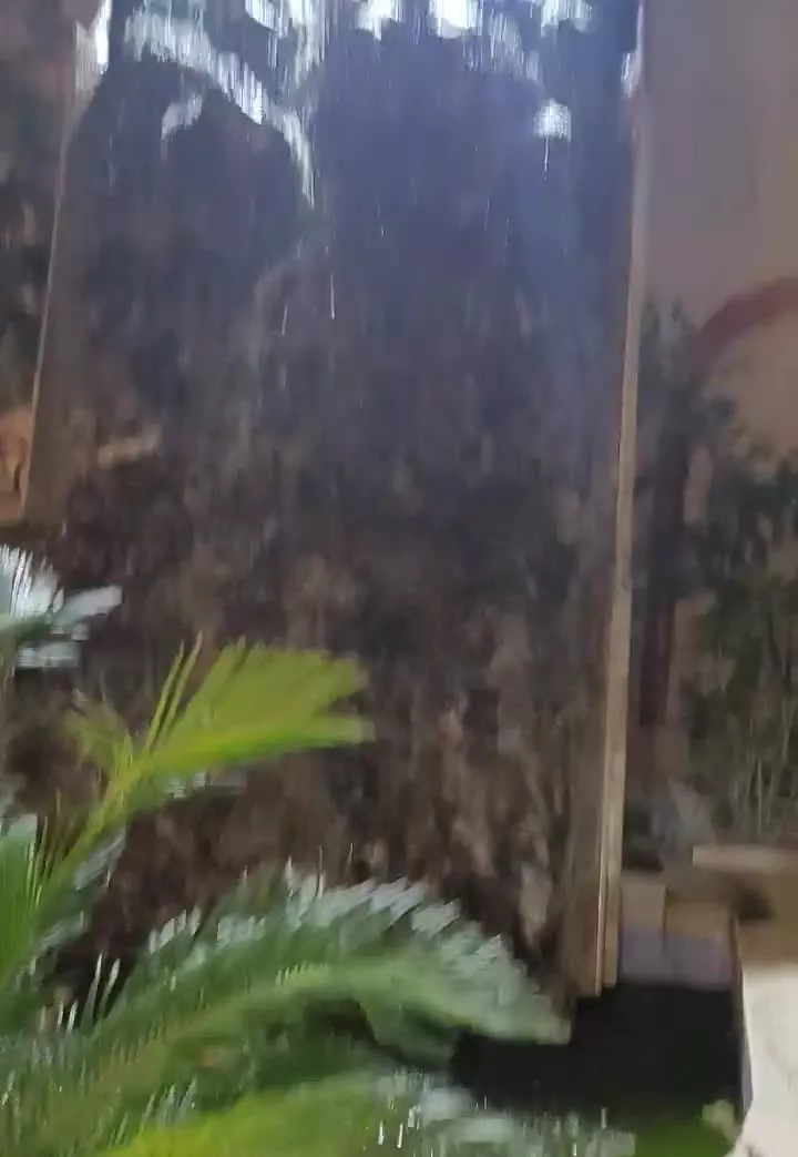 فروش یک واحد آپارتمان