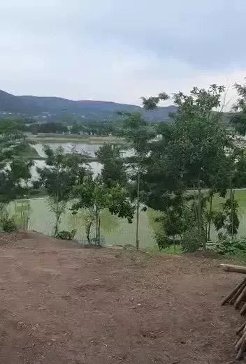 زمین مسکونی گیلان رشت امازاده هاشم شهربیجار