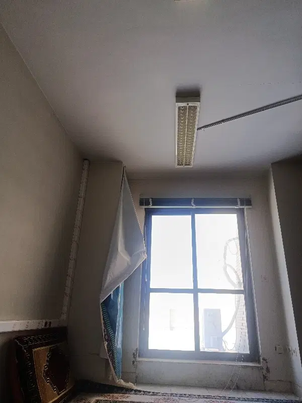 همخونه خانم