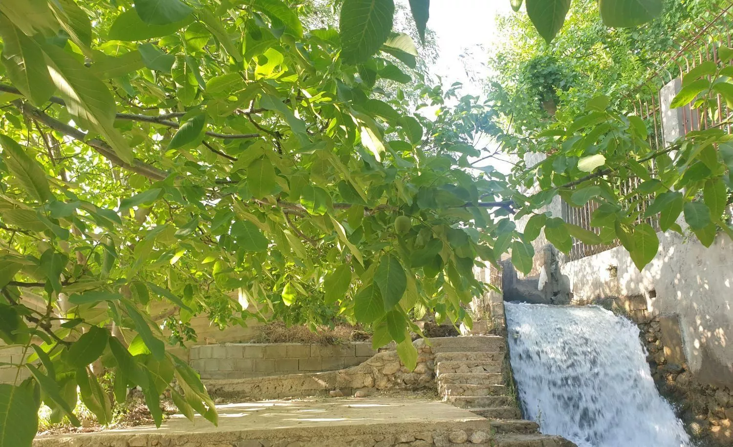 باغ در منطقه زیبای سربست