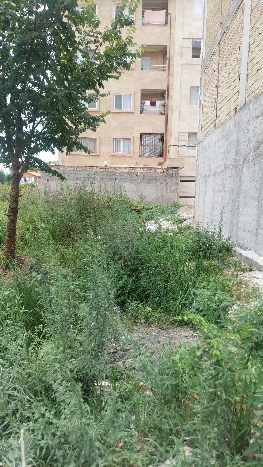 زمین سند دار گیل توشیبا باهنر پیام نو