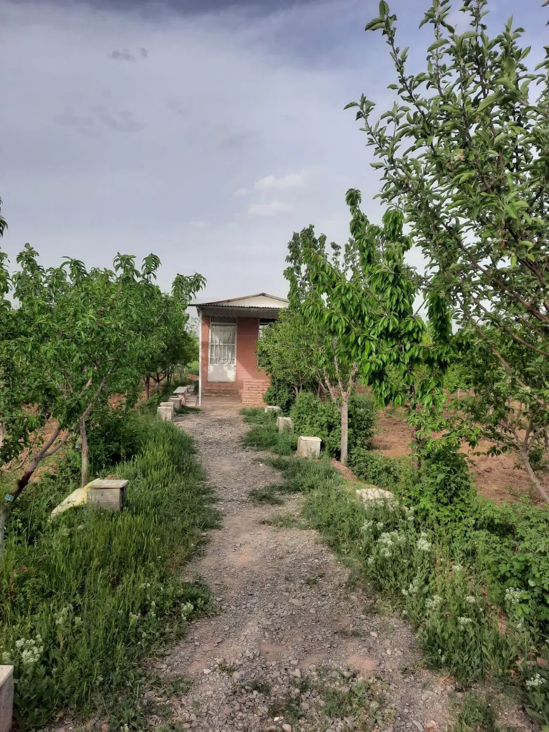 ویلا باغ بلوار ازادگان روستای فخریه