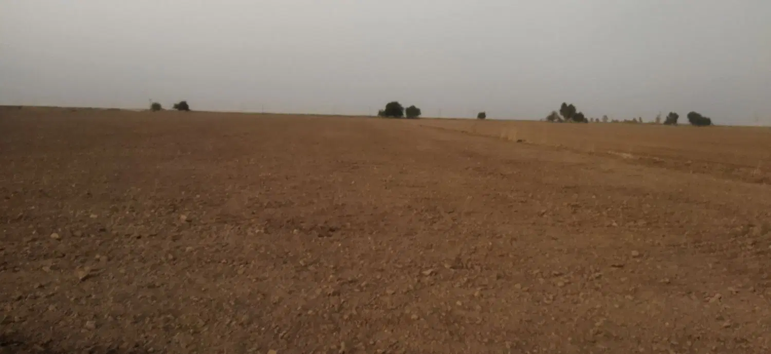 فروش باغچه