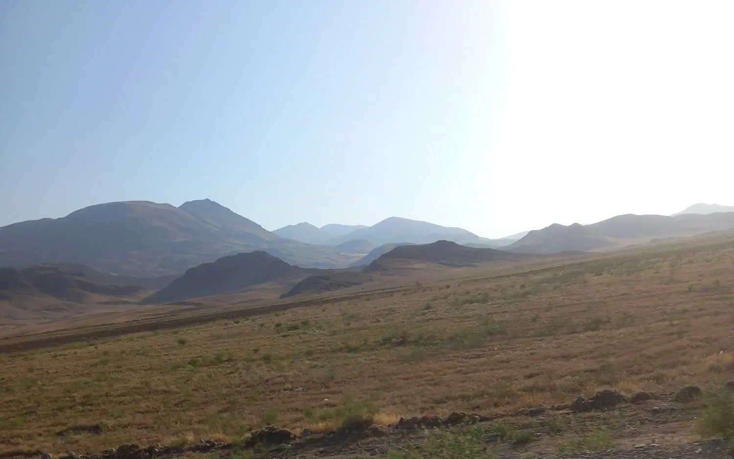 زمین زراعی