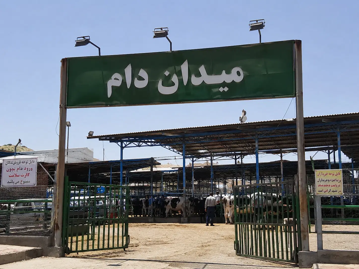 زمین میدان دام جدید