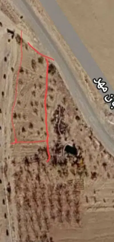 زمین