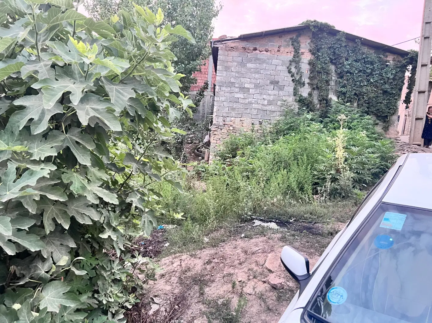 زمین روستا ریگ چشمه بالا