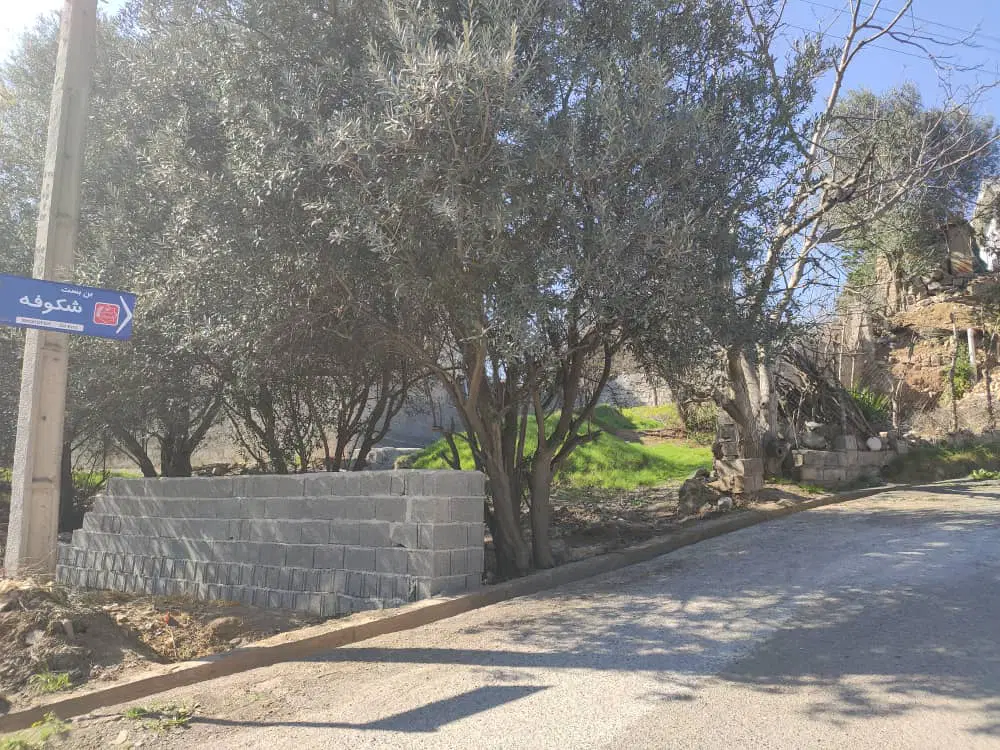 ۲۲۰ متر زمین مسکونی