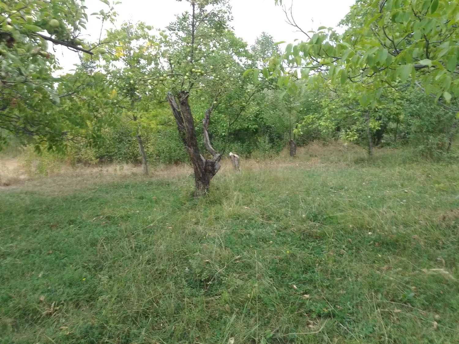 زمین مناسب ویلا سازی