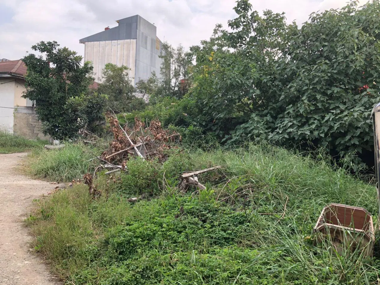 زمین نسخ جهت مشارکت