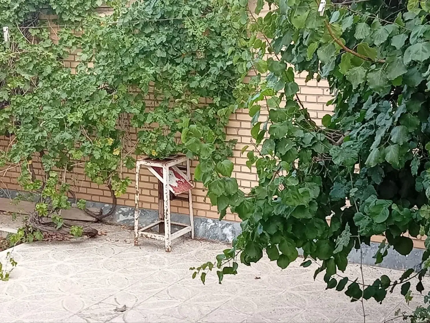 ویلایی