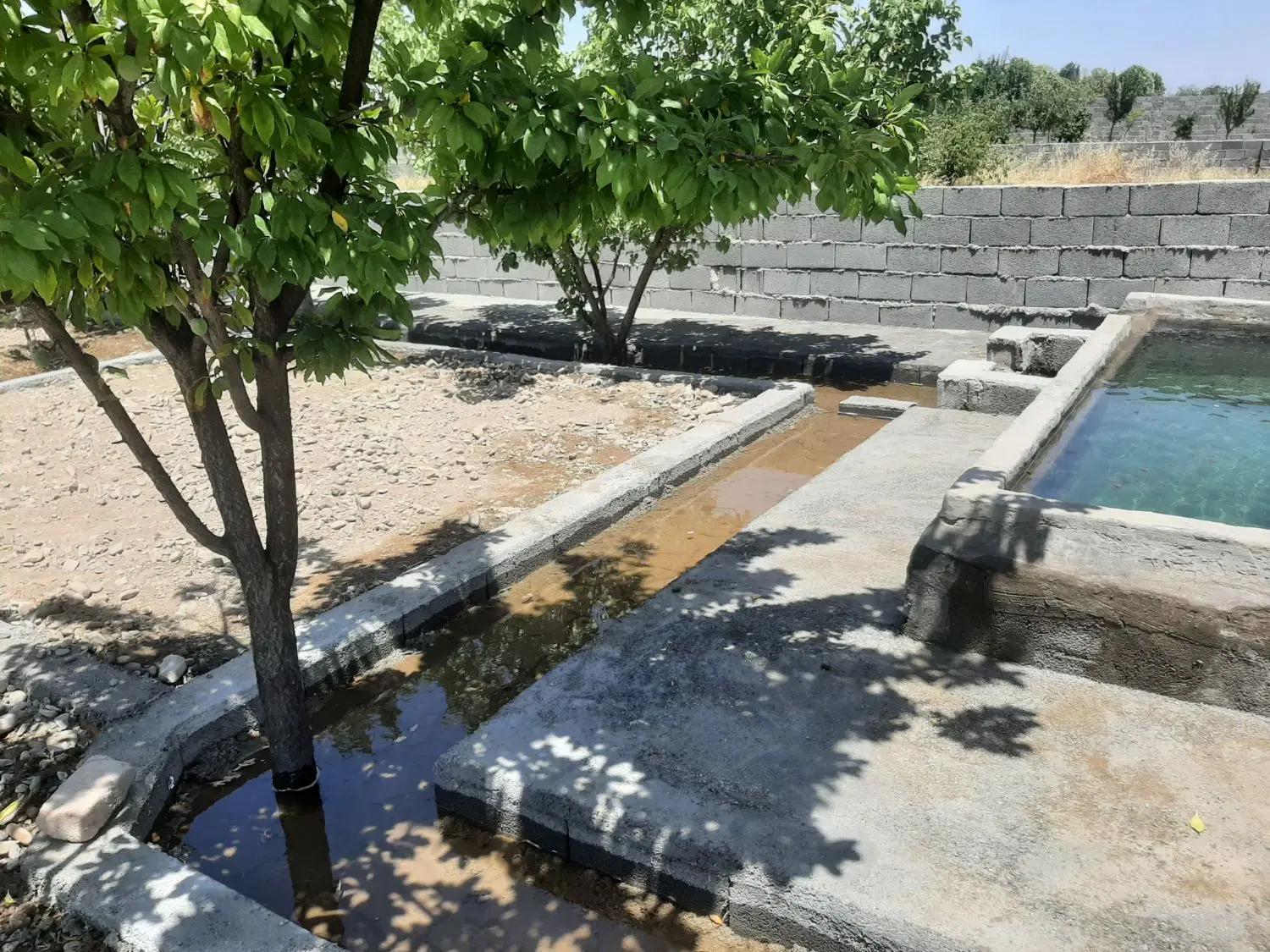 920مترباغ خیابان باران ( خوشنام)