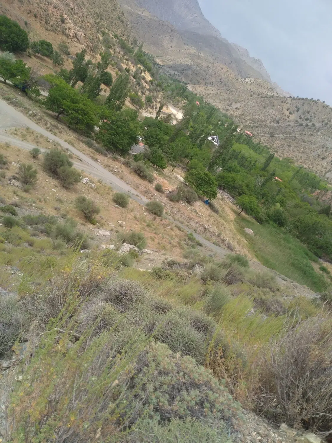 اجاره زمین نیم هکتار کشاورزی در بند سراجی