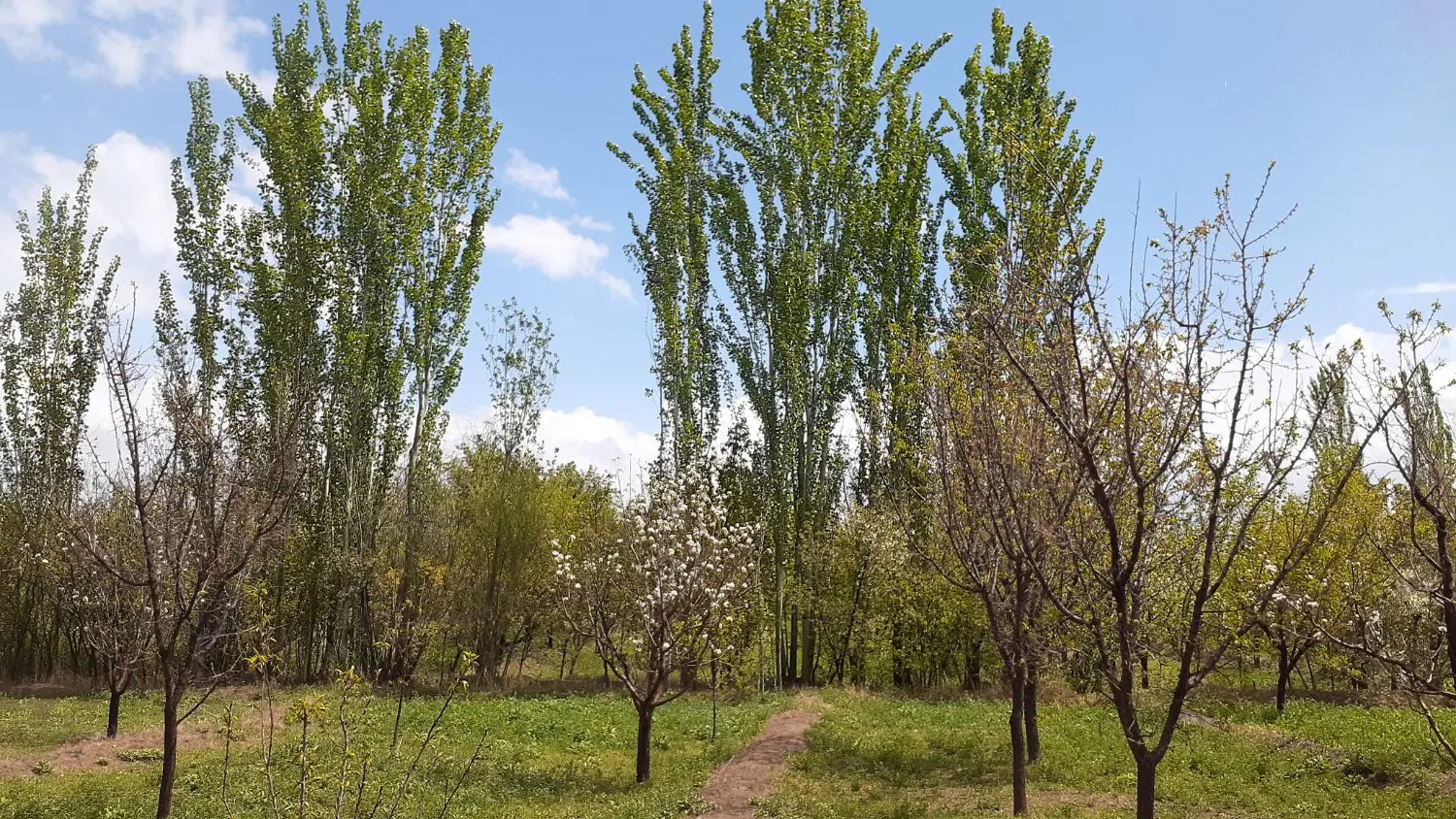 باغ ۲۰۰۰متری دارای دو ساعت اب در مرند  قابل معاوضه