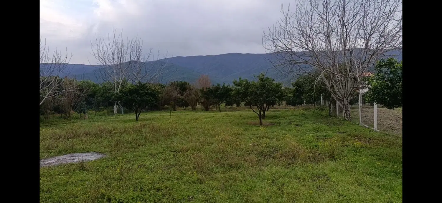 زمین  لیوان غربی