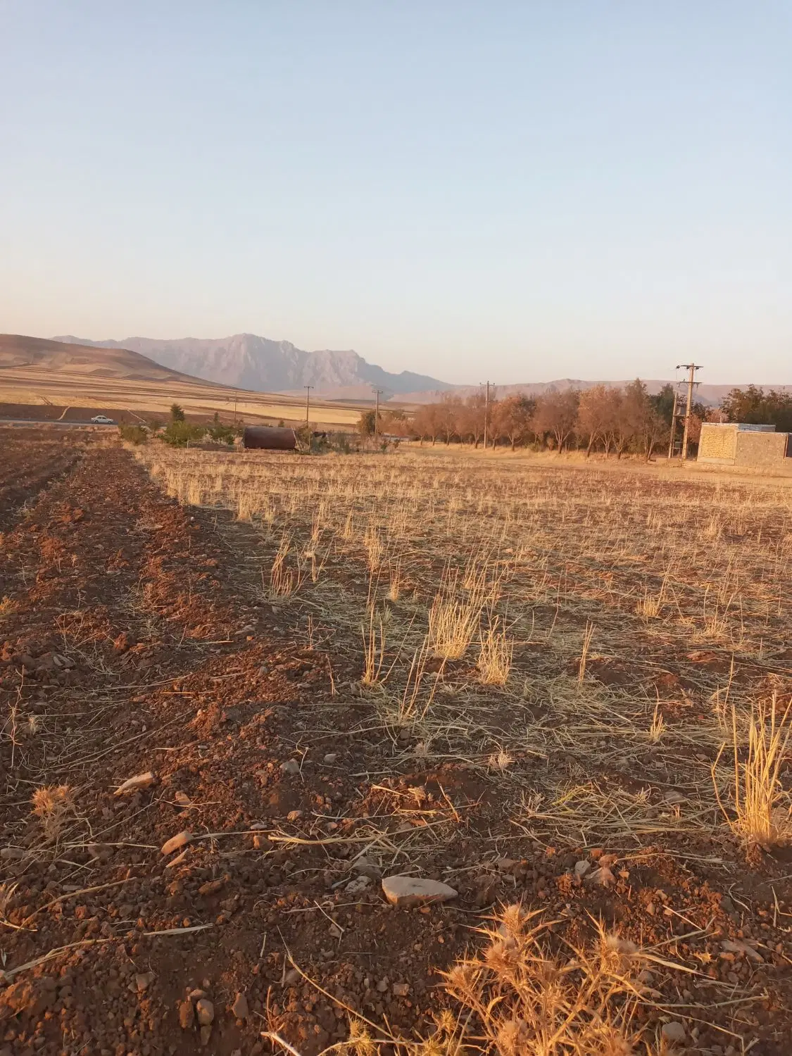 باغ و زمین کشاورزی جاده سراب نیلوفر