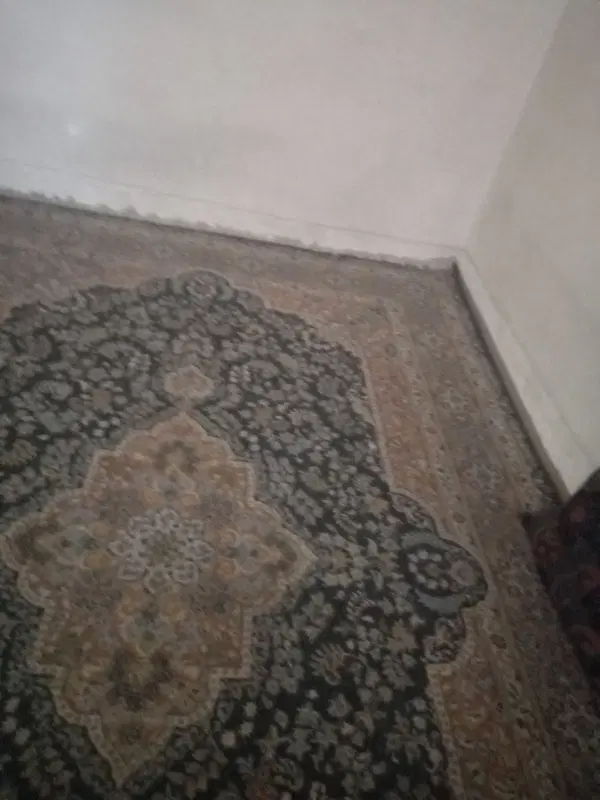 همخونه