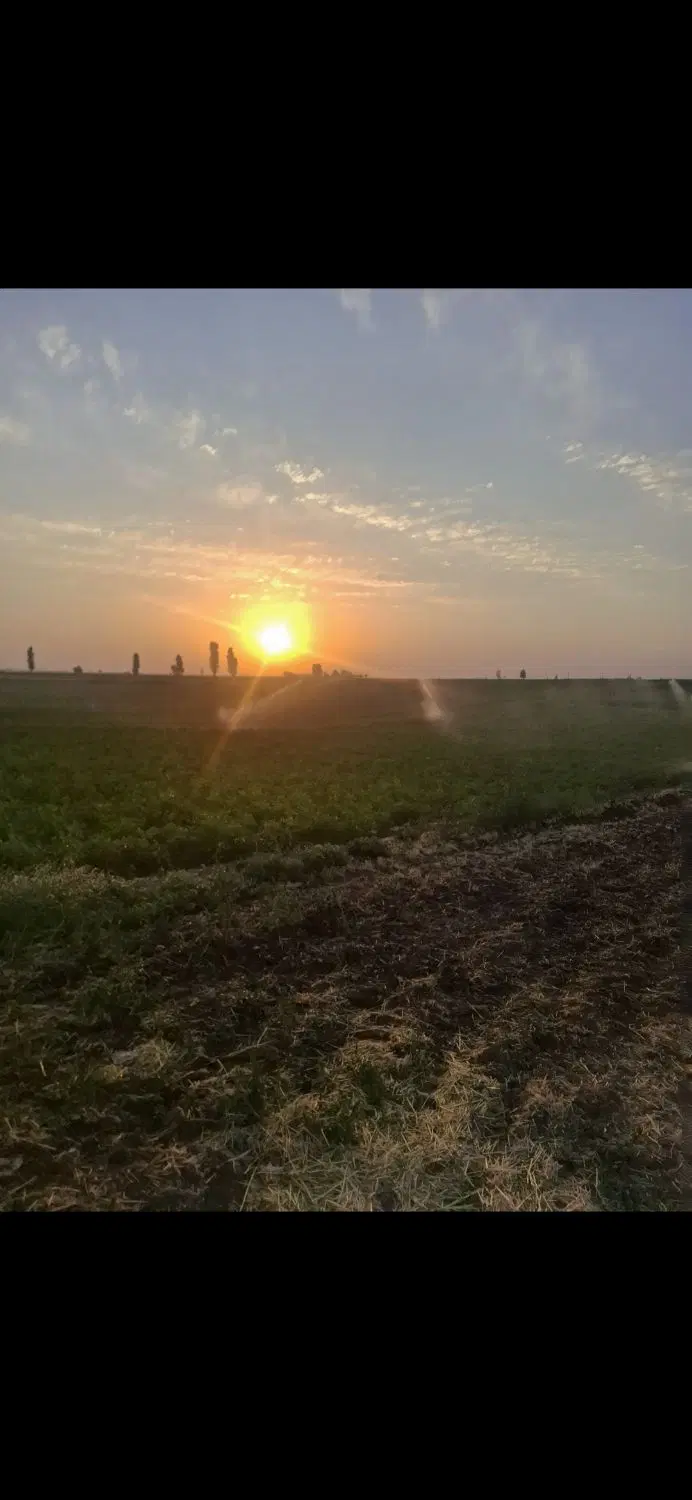 زمین بهاران