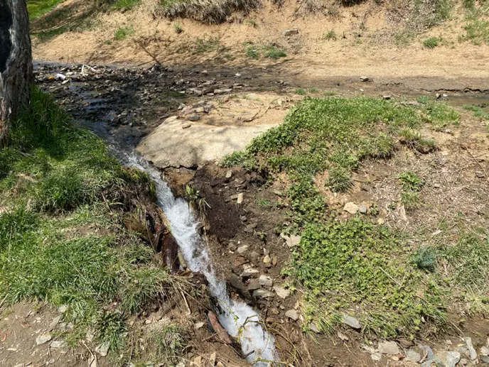 باغ