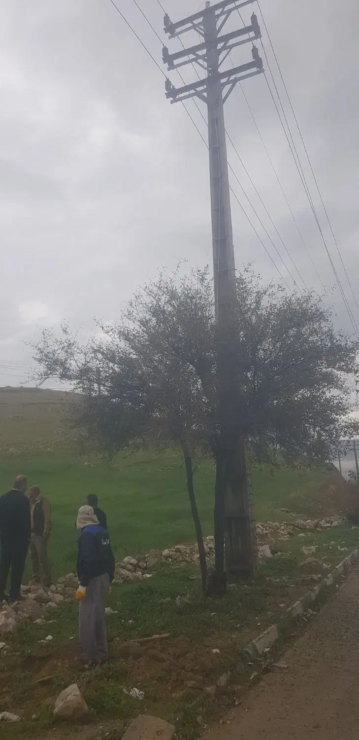 زمین بجای ماشین یاطلا