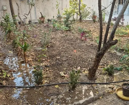 تهرانپارس غربی ،448 متر بر 14