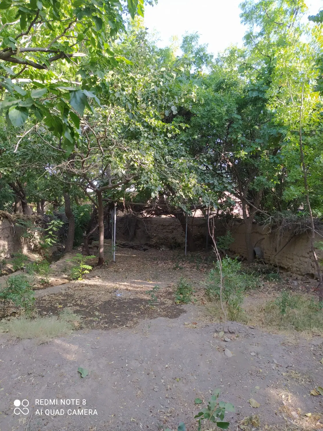 باغ و زمین کشاورزی