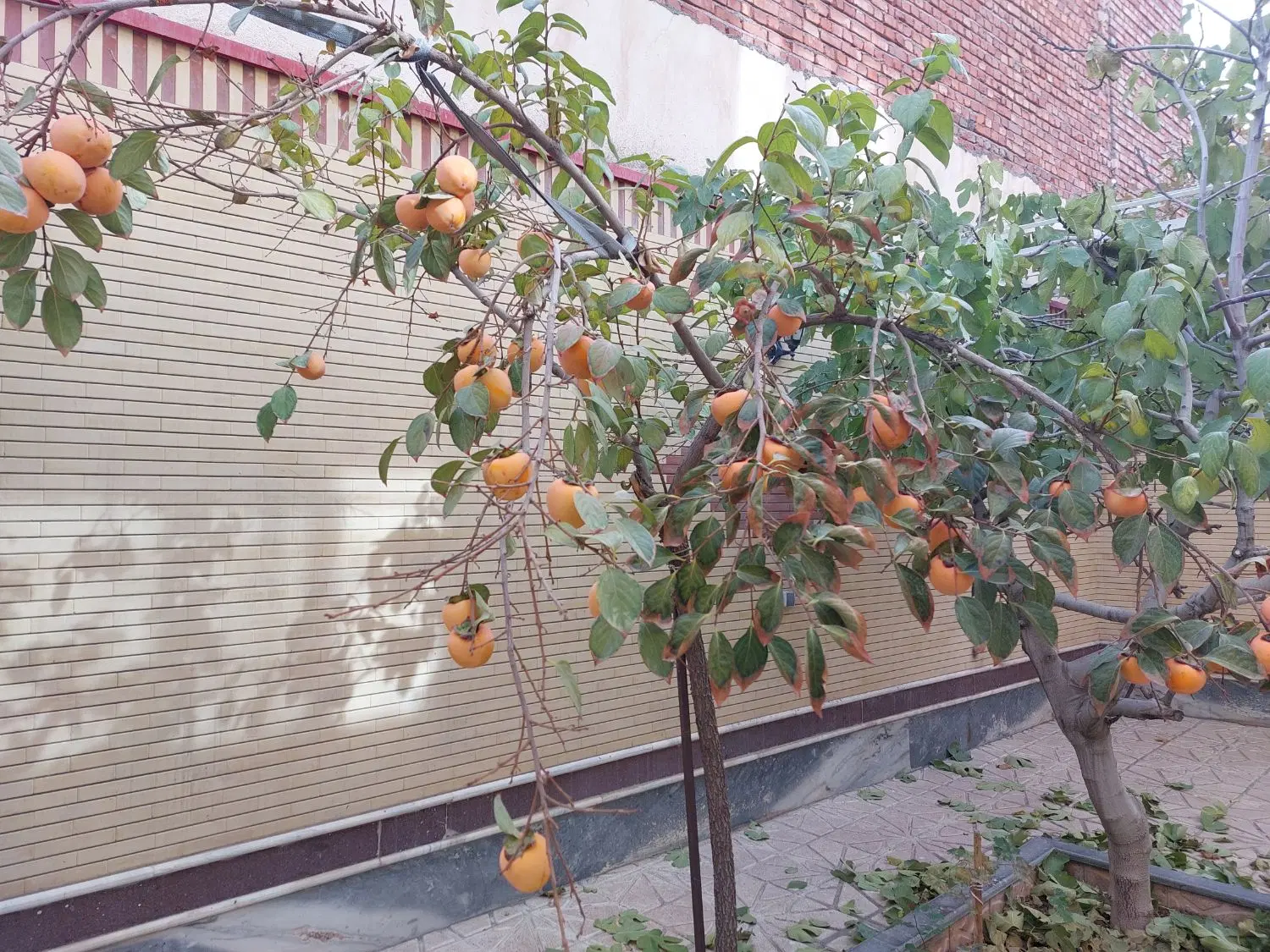 یک واحد کارگاه به متراژ ۴۰۰ متر