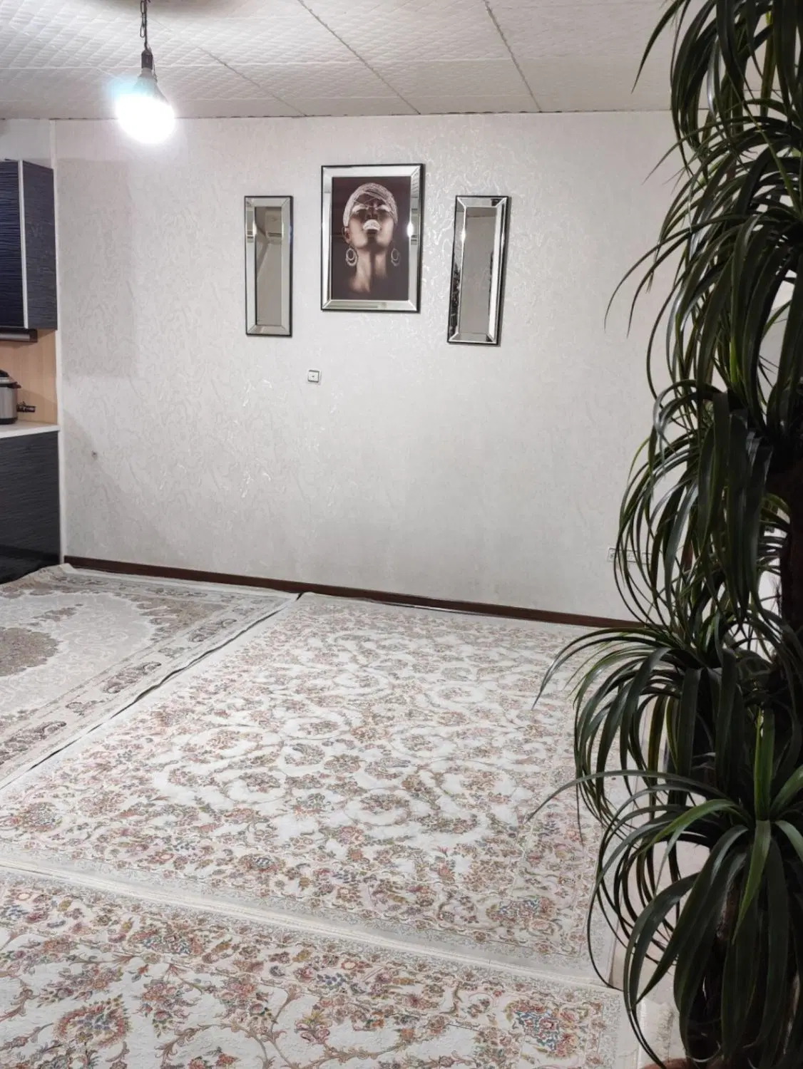 واحد 50متری سند دار  میدان مادر