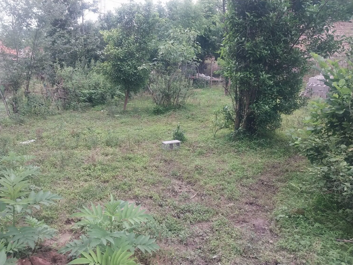 زمین مسکونی