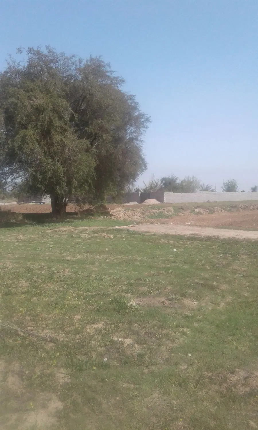 زمین باغچه جاته اول سنجر رد کردی بع دو درب سفید