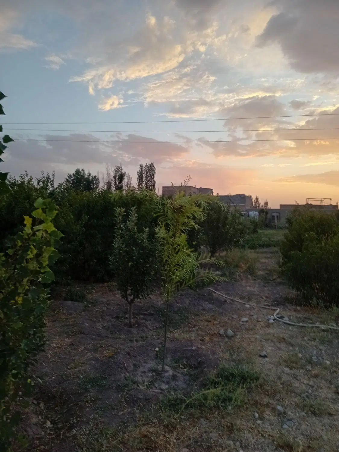 یک قطع زمین سنددار ۱۰۰۰ متر