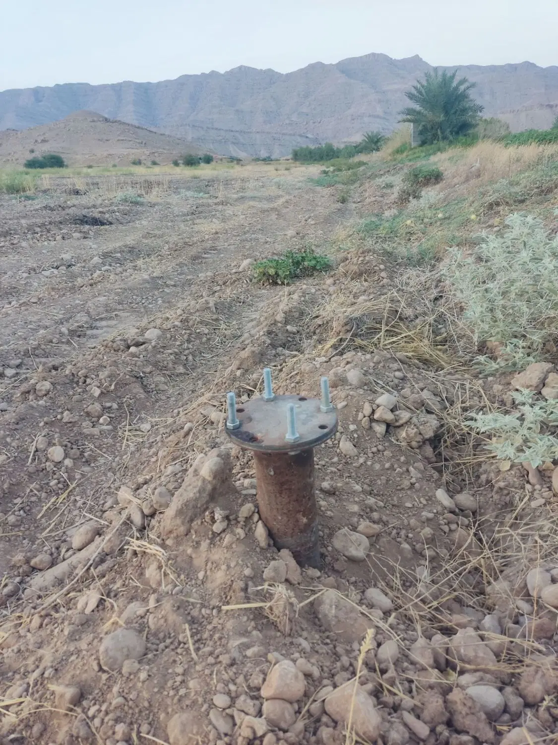یک هکتار زمین کشاورزی لیشتر