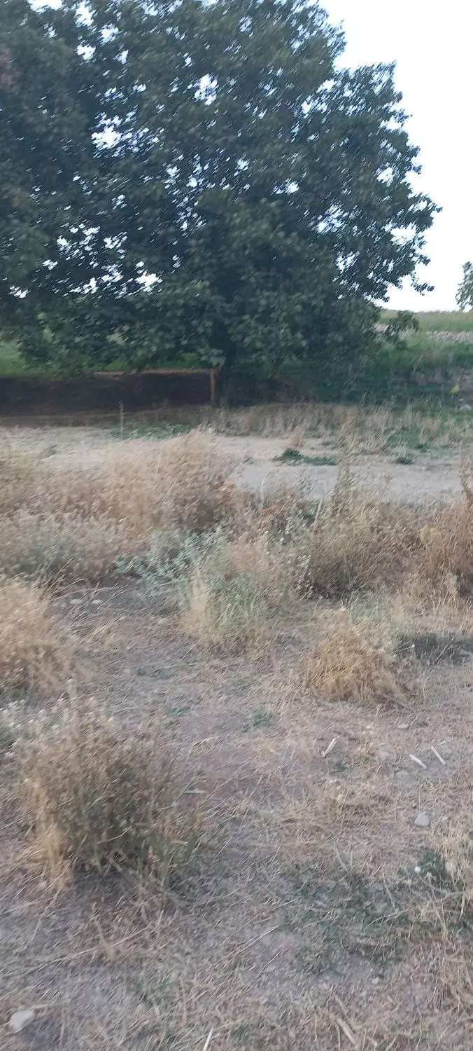 زمین جهت خانه باغ در انتهای چالسرا