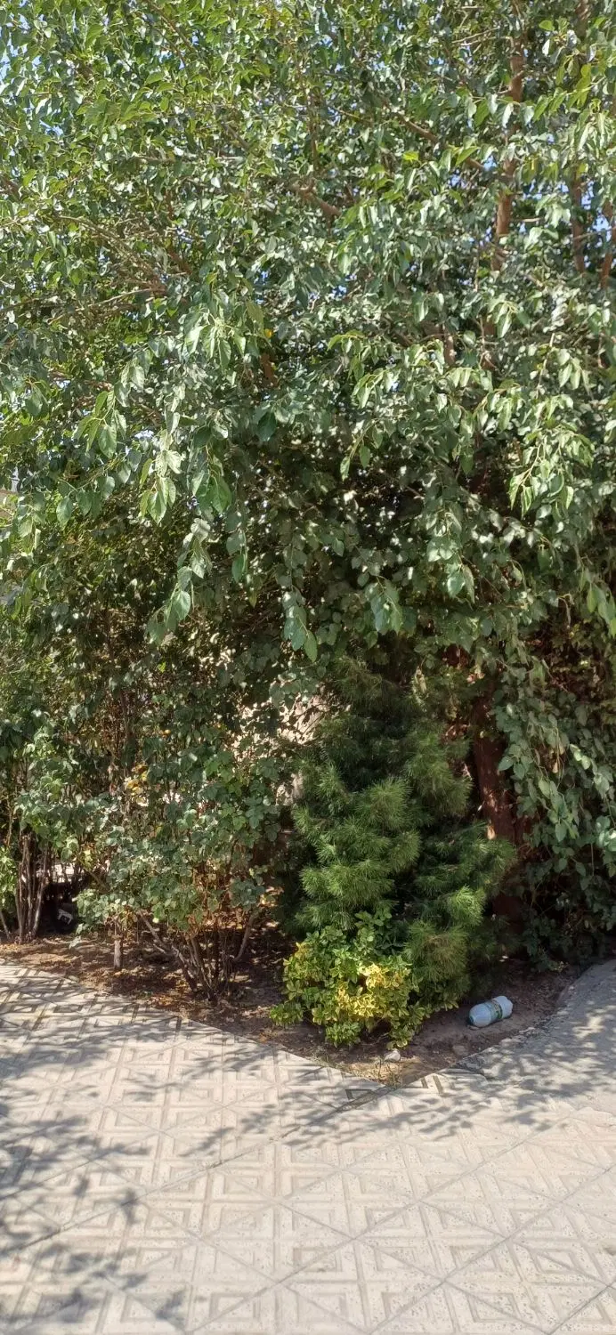 خانه ویلایی سند دار