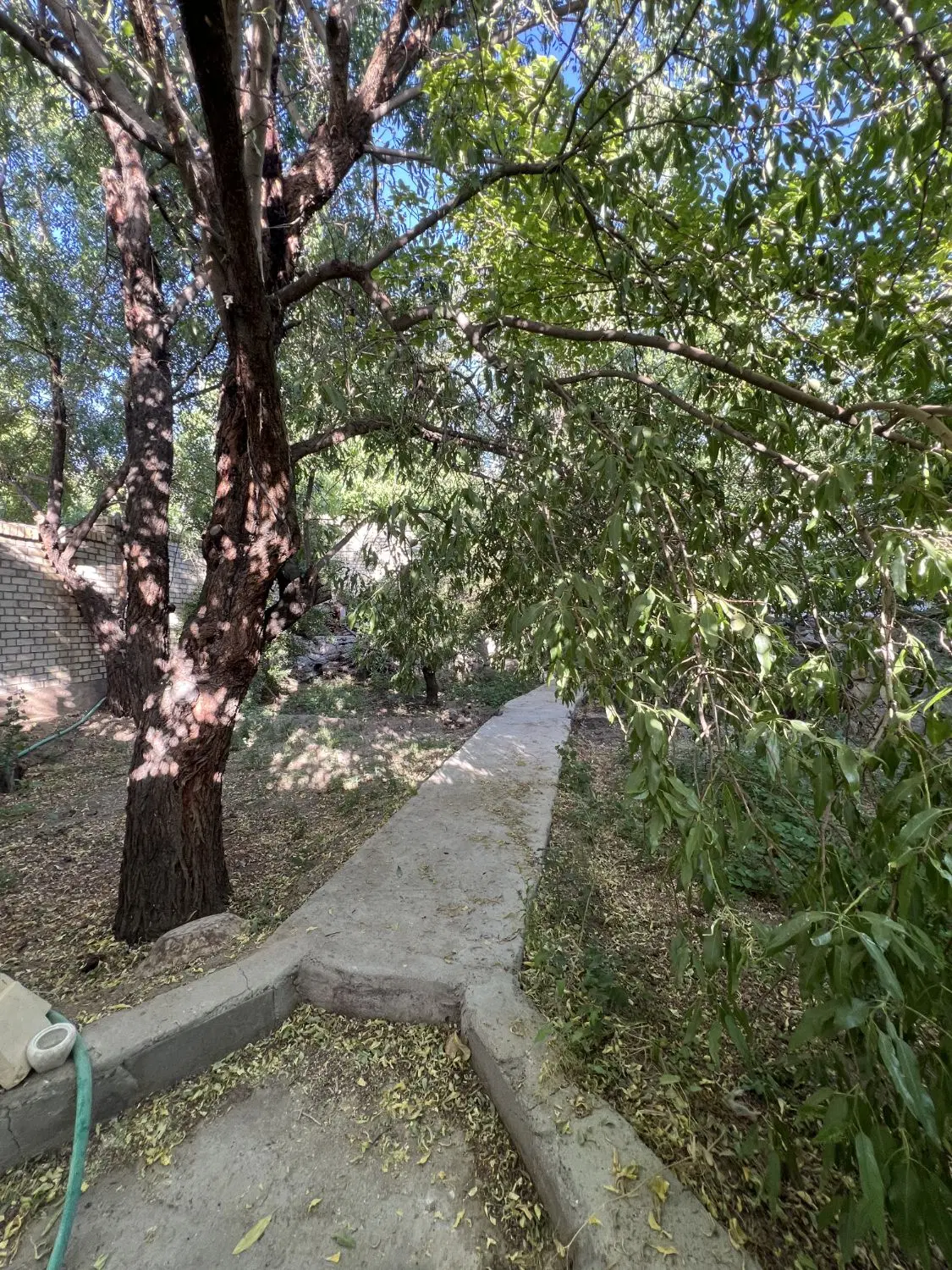 باغ دره شیر