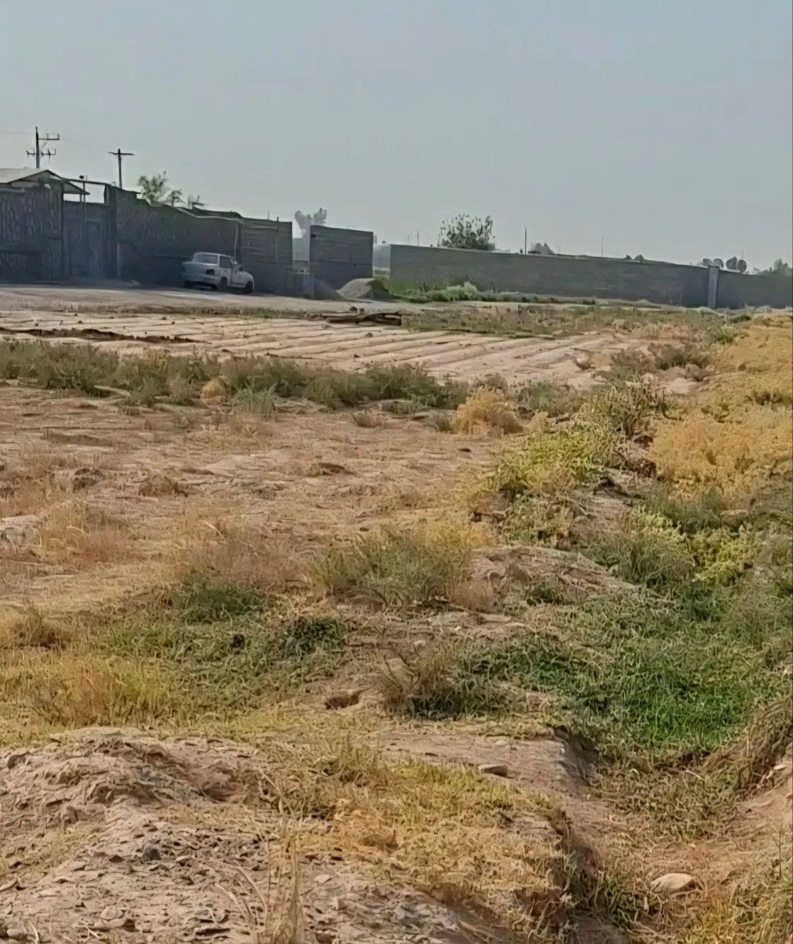 زمین برا باغچه