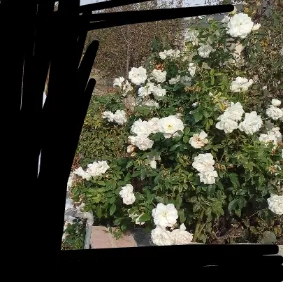 خانه ویلایی روستا