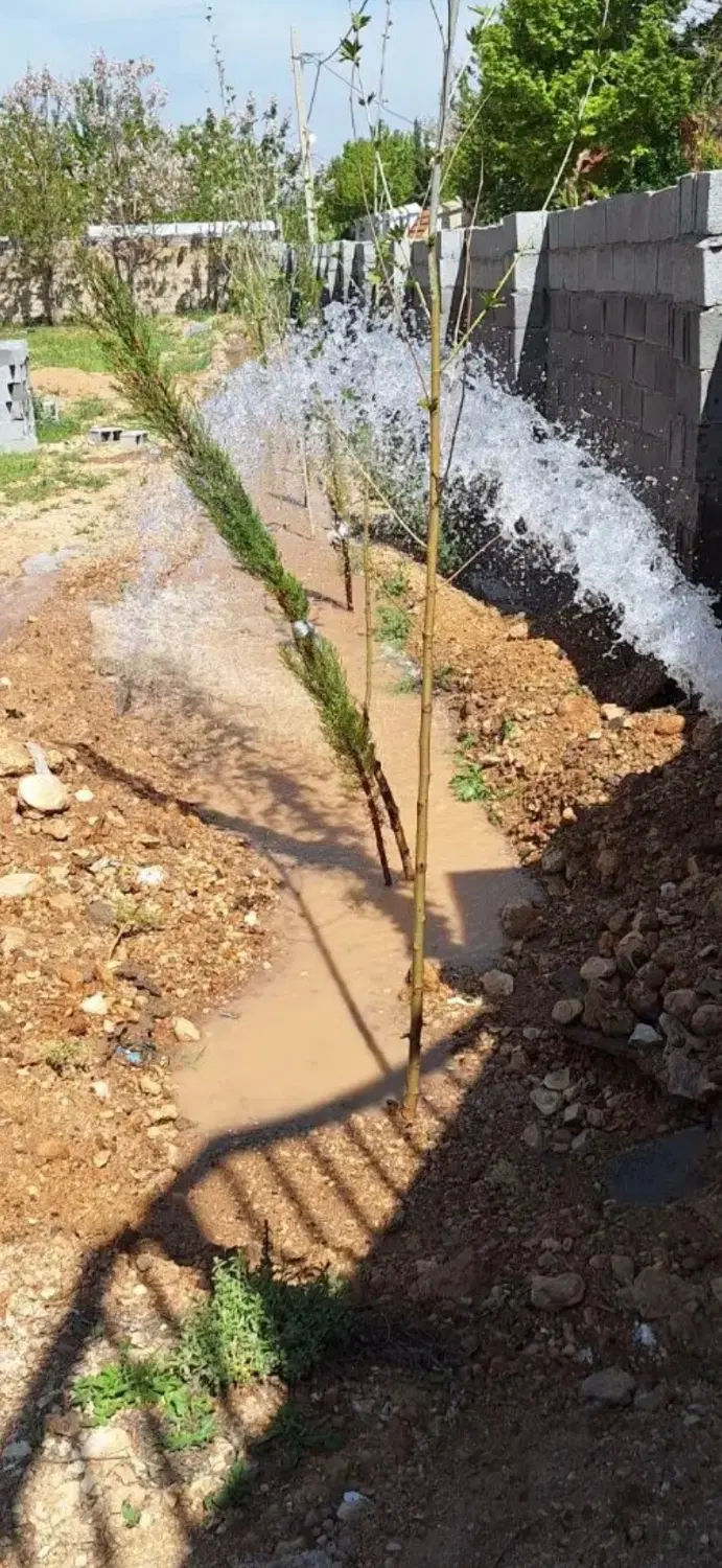 5000متر زمین بر خیابان مناسب باغشهری و سوله