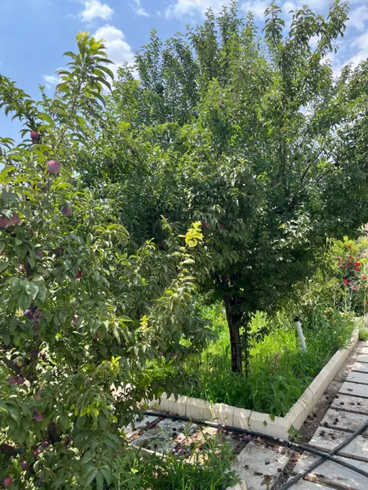 باغ ویلا ۱۰۰۰ متری فشند،کردان،کوهسار،سهیلیه