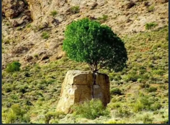 فروش زمین طرح نصر