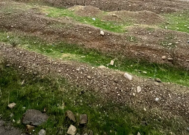 زمین فروشی